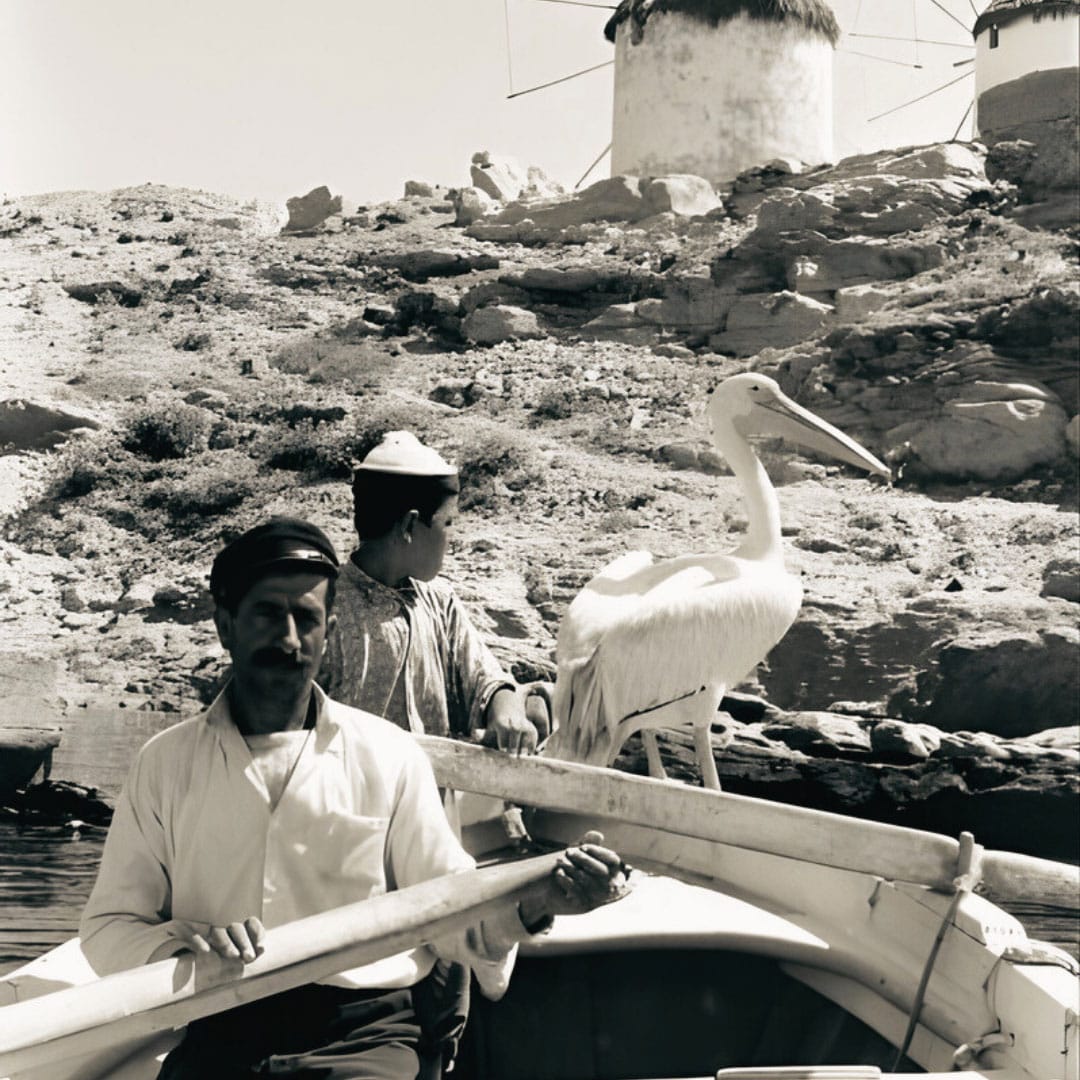 mykonos-sightseeing3