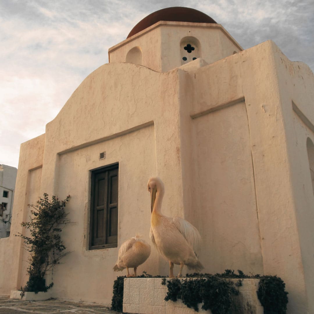 mykonos-sightseeing4